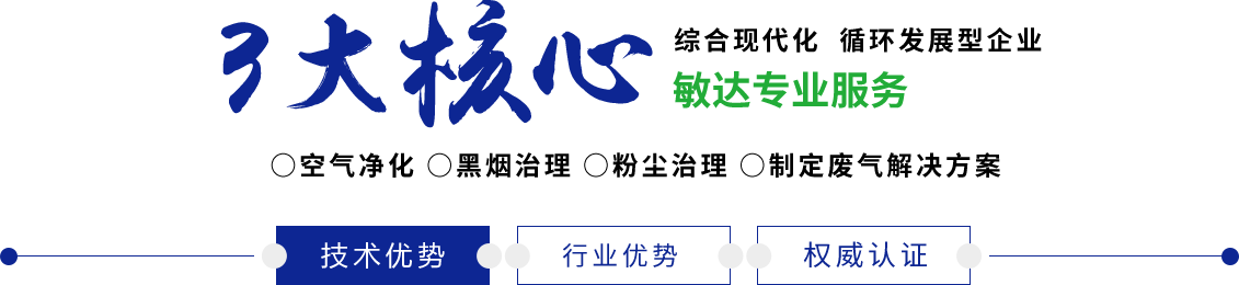 嗯嗯啊啊啊干死骚货敏达环保科技（嘉兴）有限公司